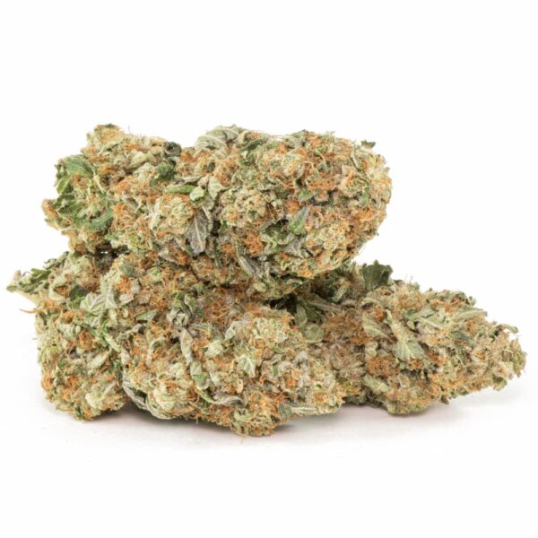 Hindu Kush Indica - Image 3
