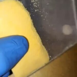 DMT Powder (1g)