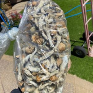 Dried Shrooms (100g)