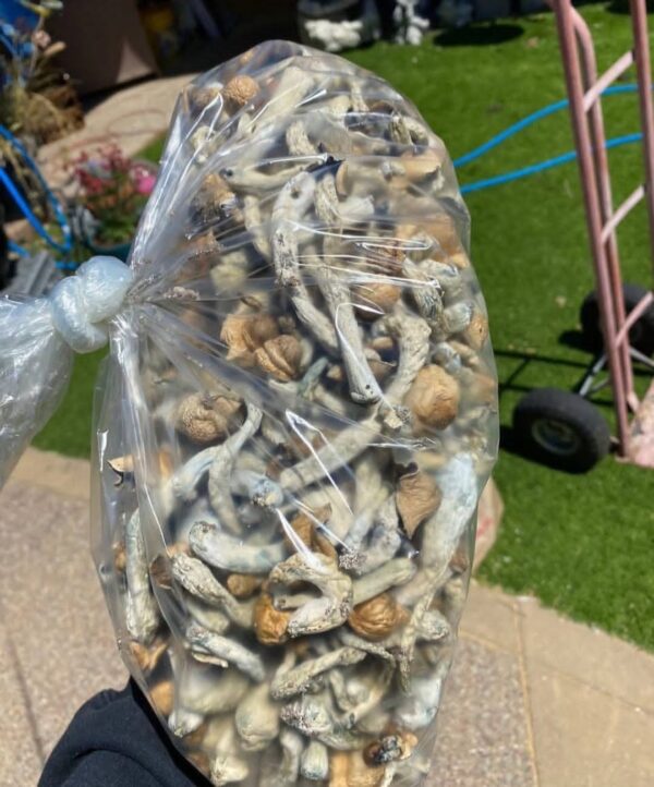 Dried Shrooms (100g)
